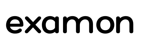 Examon Logo